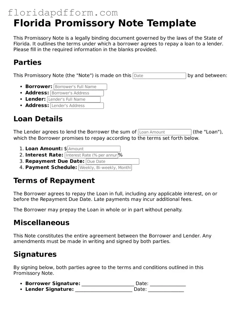 Blank  Promissory Note Template for Florida